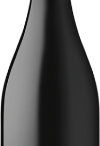 Ruggeri Prosecco Treviso DOC Brut Frizzante 0