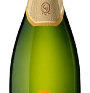 Campo Viejo Cava Brut 0