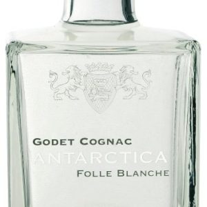 Gravírování: Godet Folle Blanche Antarctica 0